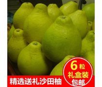 柚子批發(fā) 產(chǎn)品庫全指南