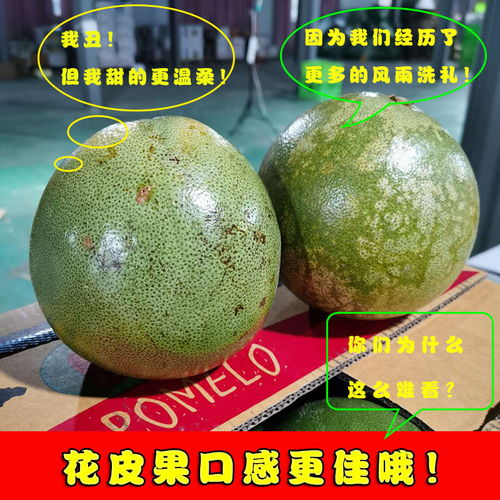 泰國青柚 白心金柚，當季鮮果，享譽全球的熱帶特產