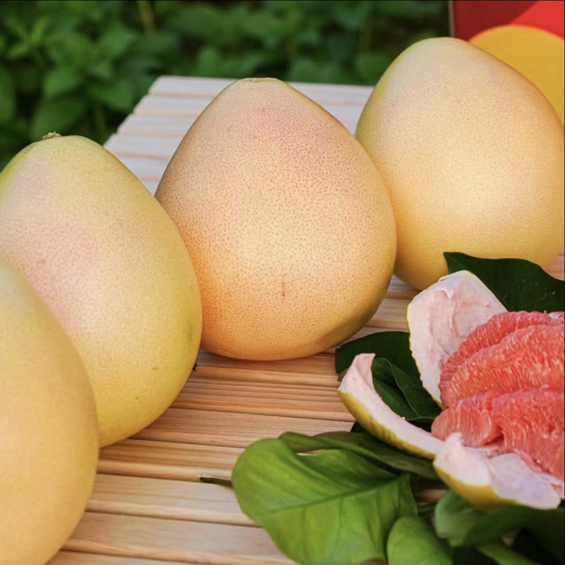 廣西容縣沙田柚 自家果園直供，品質正宗，批發價3.50元/斤